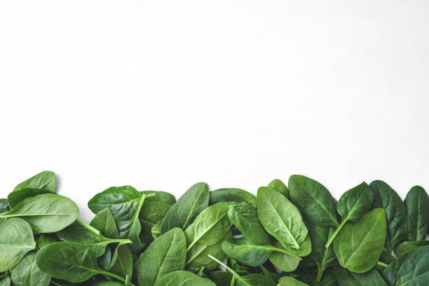 istock Pile of spinach leaves close-up on a white background 2158114010