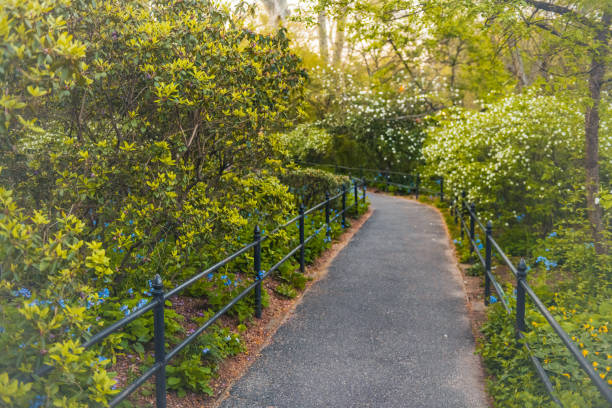 Sidewalk Through Lush Spring Foliage in Central Park New York City