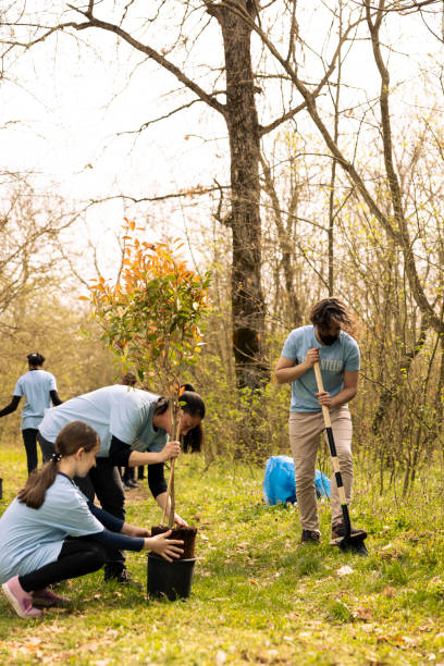 istock Team of environmentalists digging holes and installing vegetation 2158120304