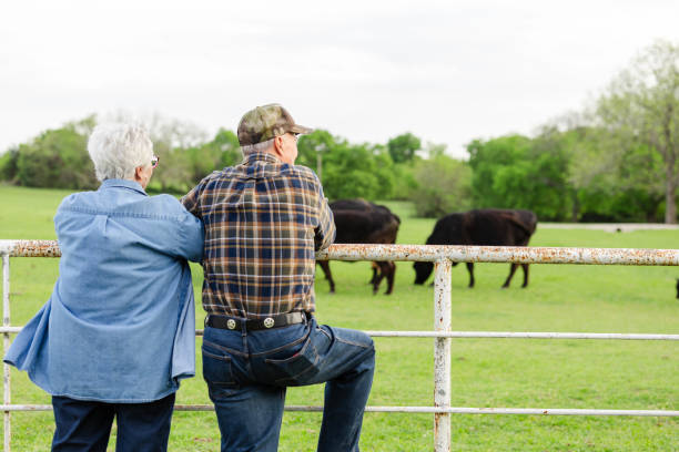 istock After long day working, senior couple watches herd graze 2158124187