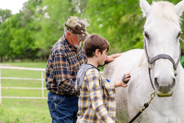 istock Senior man and grandson curry patient white horse 2158124230