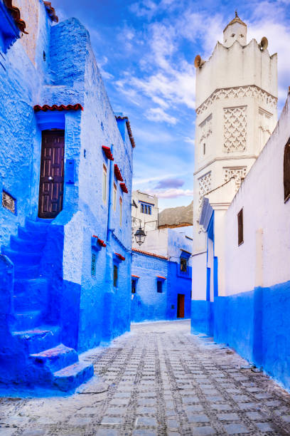 Chefchaouen, Morocco. Blue medina, ancient city, staircase and wall decorated with colourful flowerpots. Chefchaouen, Morocco. Blue street and painted walls, North Africa travel destination. chefchaouen stock pictures, royalty-free photos & images
