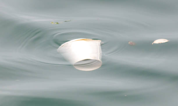 istock Garbage floats on the water in the sea 2158126919