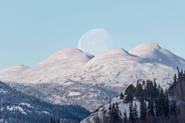 Full moon setting over the top of snow capped mountains in northern Canada during winter season. Woods, forest landscape below with perfect blue skies sky.