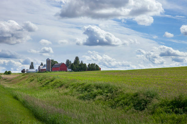 istock Farm with red barns silo and freshly planted corn fields on a partly cloudy day in Iowa 2158130464