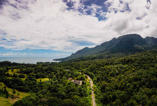 Aerial view in Sarawak, Borneo, Malaysia, featuring a country road running through lush green tropical rainforest.