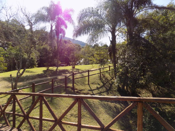 istock Wood fence 2158130505