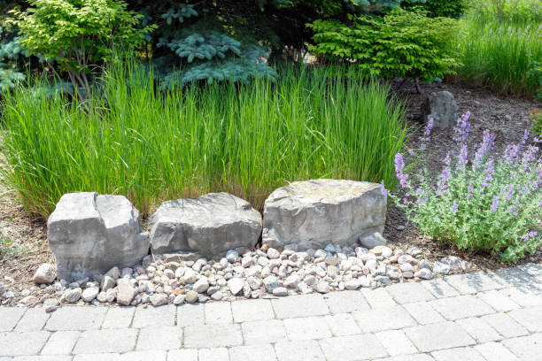 Landscaped garden with soft plantings.