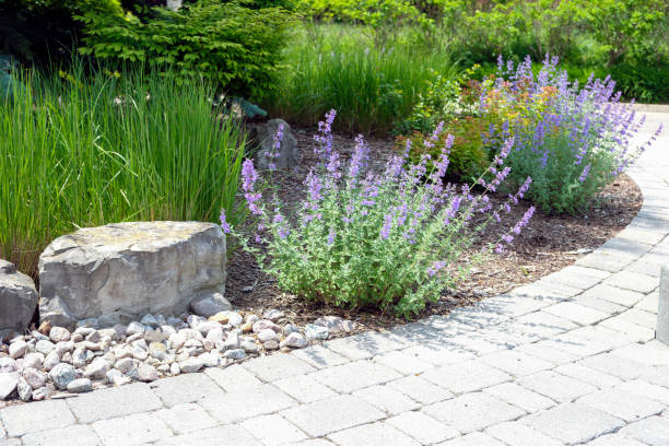 istock Landscaped garden with soft plantings. 2158136211