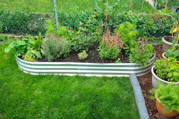 istock edible garden with a galvanized raised bed and containers. 2158136271