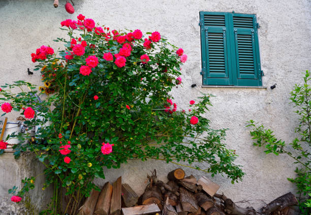 istock Senarega Valbrevenna Genoa Italy 2158137721