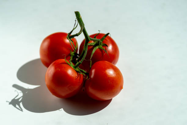 istock Four red ripe tomatoes on one green branch on a white table 2158145373