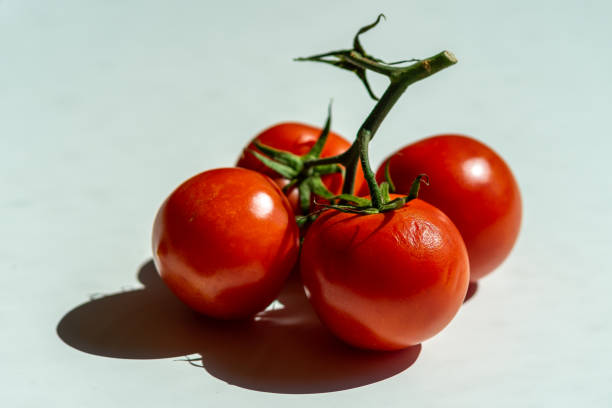 istock Four red ripe tomatoes on one green branch on a white table 2158145376