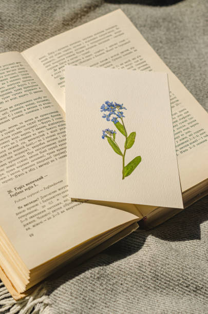 istock herbarium of blue forest flower, bookmark on an open book . 2158145939