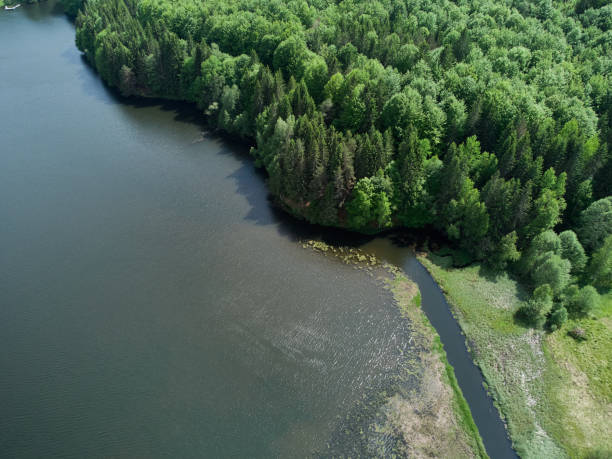 istock Lake Trei Ape Three Waters photographed from a drone flight. The blue sky with clouds and green forests. 2158148861
