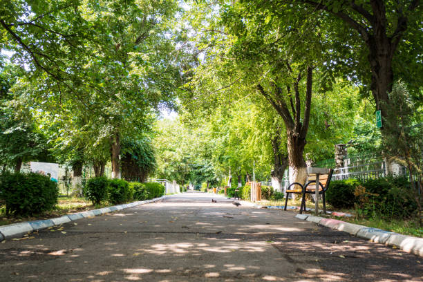istock bench in a park, pathway, sunny day, trees and shadows 2158153142