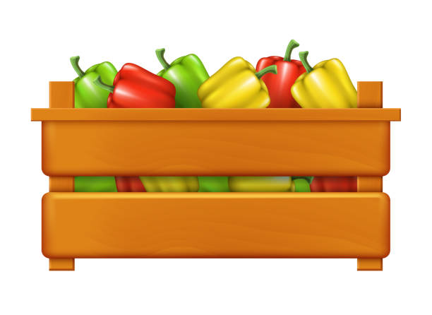 istock Wooden box with bell peppers. Vector realistic illustration isolated on white background. 2158156505