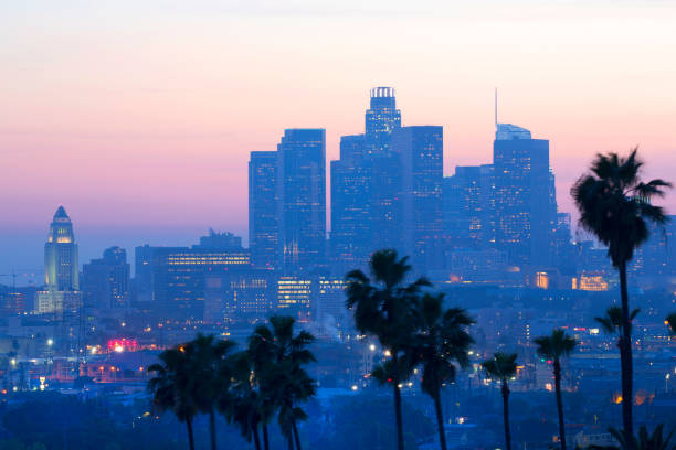 istock Palm trees and city skyline at twilight 2158162735