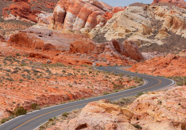 istock Aerial view of highway in desert 2158162813