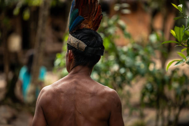 istock Wayuri tribe warrior in Amazon, Ecuador, with feather crown seen from behind 2158164040