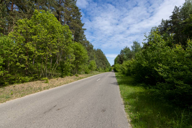 istock a country road of good quality in spring in a deciduous forest 2158166784