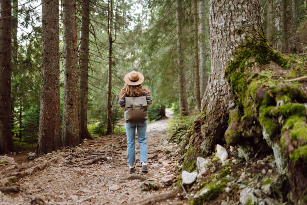istock Young female traveler with backpack walking in national park or forest. 2158167980