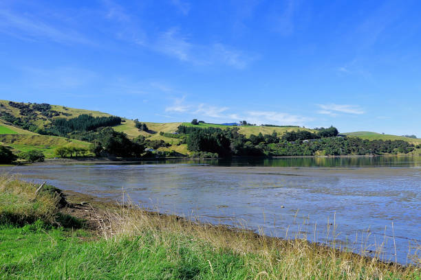 istock New Zealand South Island 2158175074