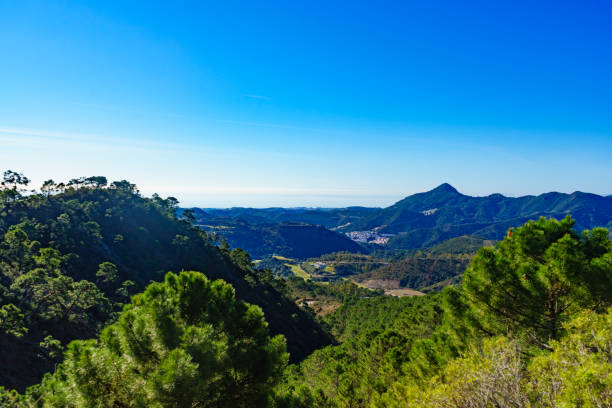 istock Spanish green andalusian mountains view. 2158175906