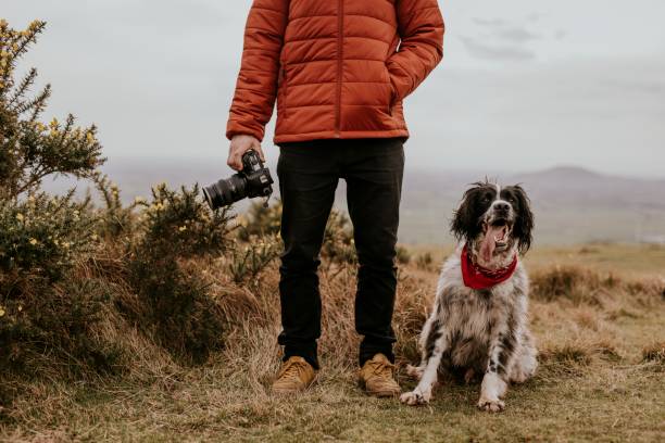 Dog sitting next to man on hill photo