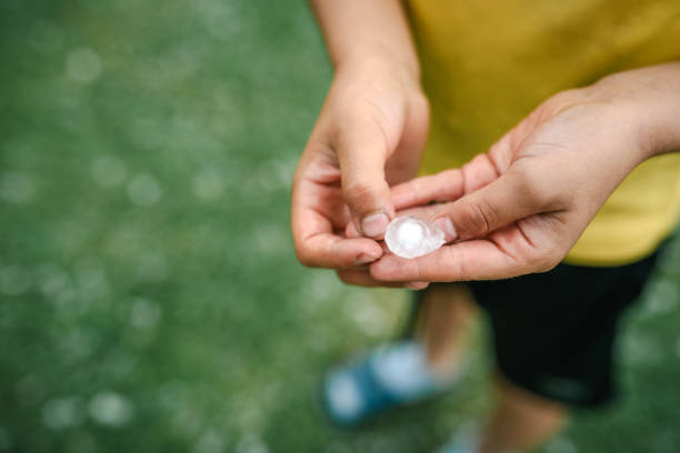 istock Hands holding quarter sized hail stones. Natural disaster concept. 2158177732