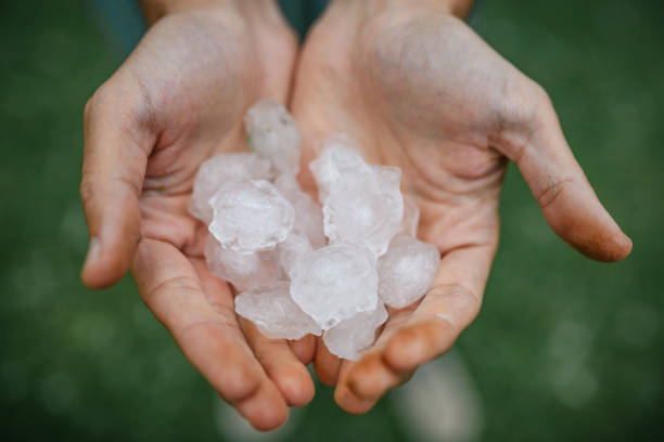 istock Hands holding quarter sized hail stones. Natural disaster concept. 2158177741