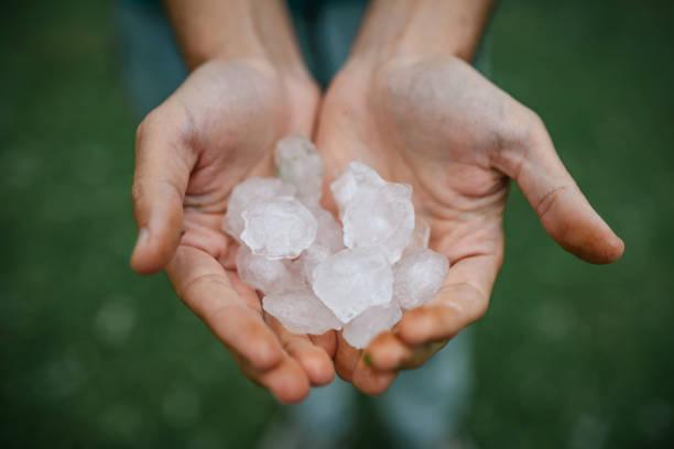 istock Hands holding quarter sized hail stones. Natural disaster concept. 2158177757