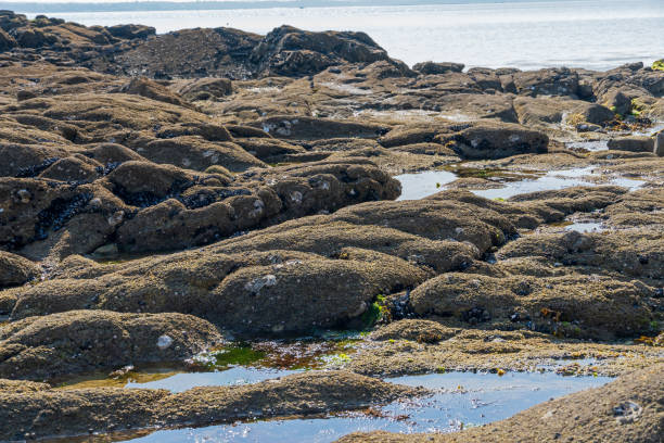 istock Rock Formations on the beach in Fouesnant, Brittany 2158178979