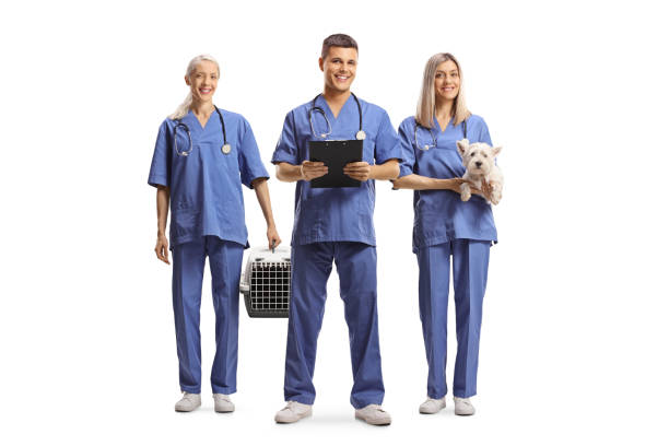 Veterinary health care team in blue uniforms