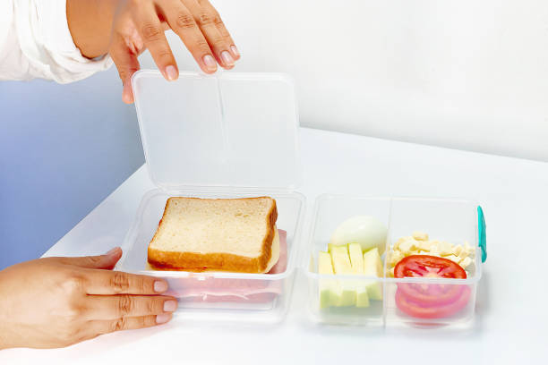 Compartmentalize Container 5s 60+ Compartmentalized Stock Photos, Pictures & Royalty-Free Images - iStock
