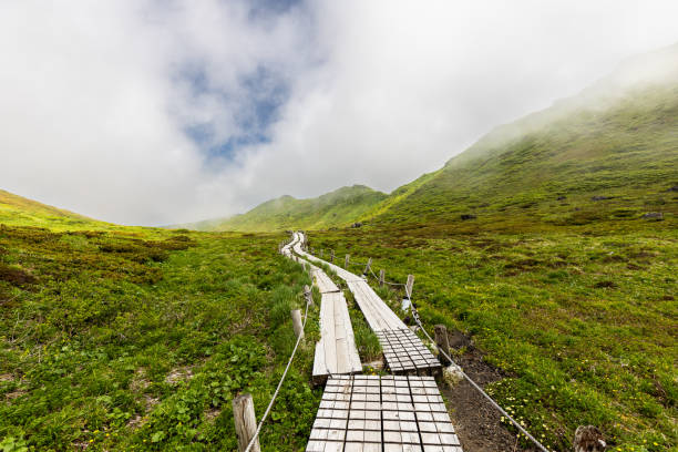 A long curvy wooden footpath across a mountain plateau.