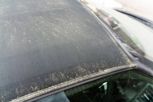 istock Open car hood soiled with pollen 2158186381