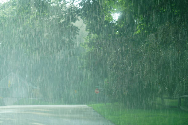 istock heavy rain and green tree in summer 2158187643