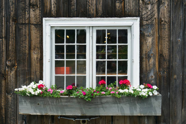 close up on window decorated with flowerbox and flower