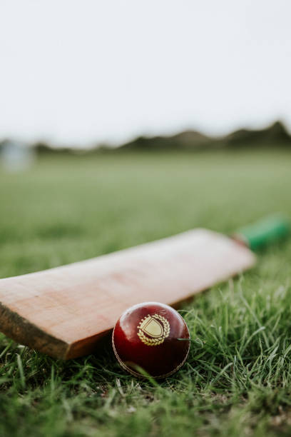 istock Cricket bat and ball on green grass 2158192472