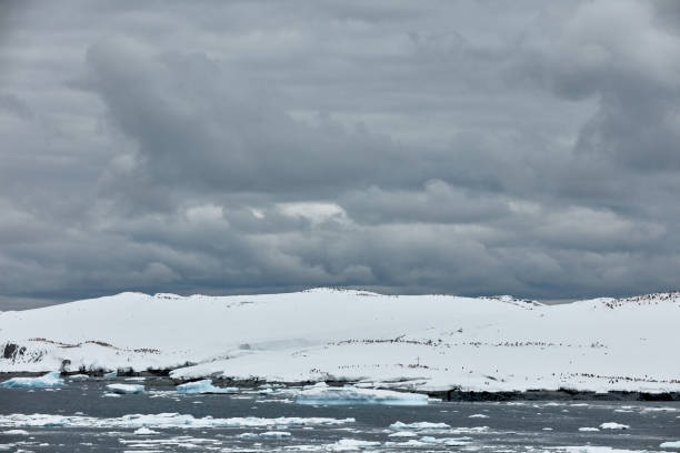 istock Petermann Island, Antarctica 2158193929