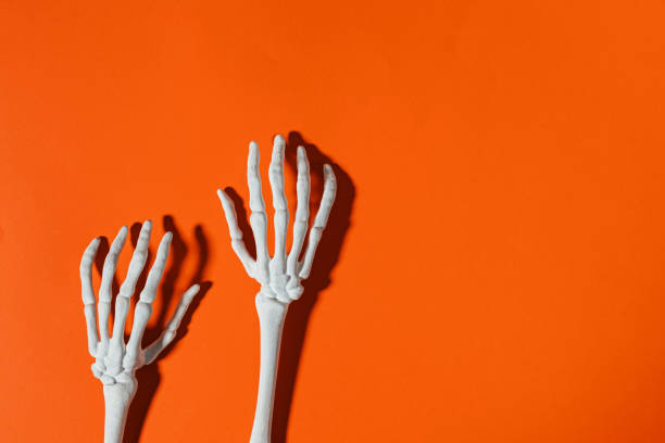 Skeleton hands on orange background. Halloween decorations, copy space