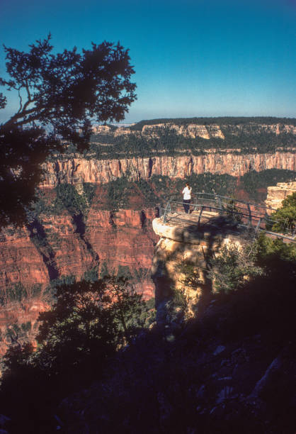 Grand Canyon NP - North Rim - Pinnacle Overlook - 1975