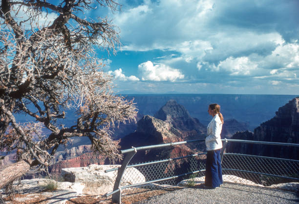 istock Grand Canyon NP - North Rim - Cape Royal Overlook - 1975 2158196111
