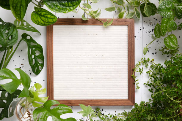 istock Blank picture frame with in plant background 2158197520