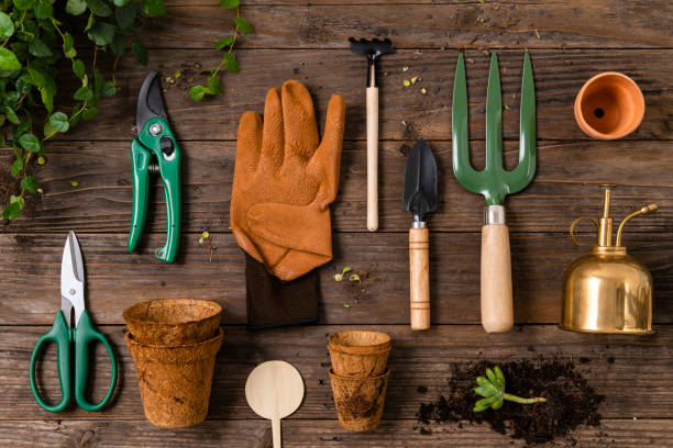 istock Plant parent gardening tools flat lay 2158197585