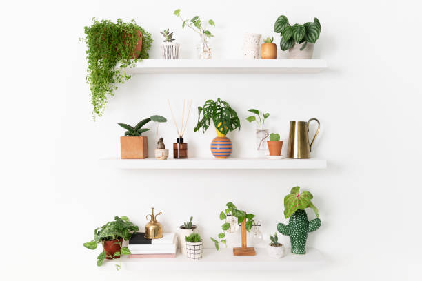istock Home decor indoor plant shelf 2158197629