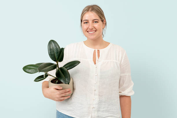 istock Woman holding potted rubber plant 2158197671