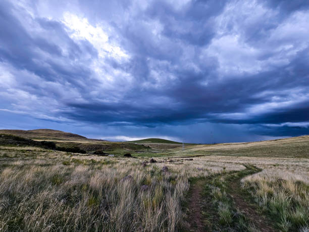 Andean meadow with the presence of approaching storm clouds.
