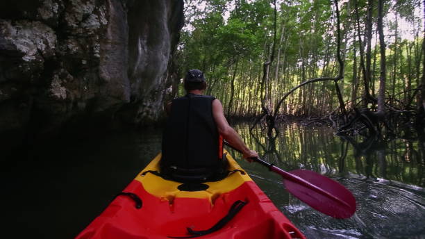 istock Man engages in kayaking close to cliff passing tree branches 2158200453